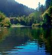 Russian River